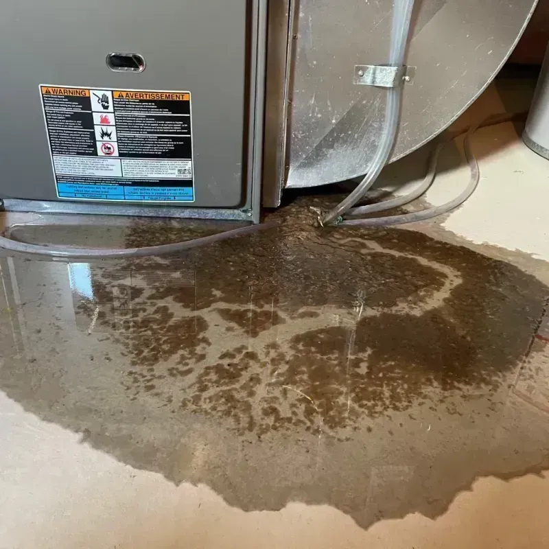 Appliance Leak Cleanup in Sardis, MS